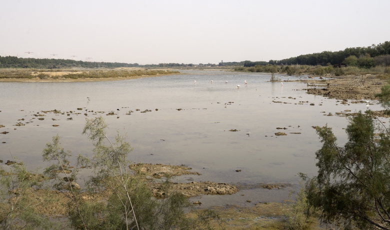Wasit Wetland Centre Aga Khan Development Network